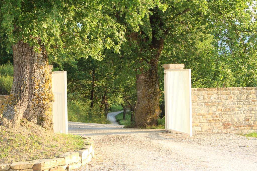 Amico Country House Serra San Quirico Ngoại thất bức ảnh