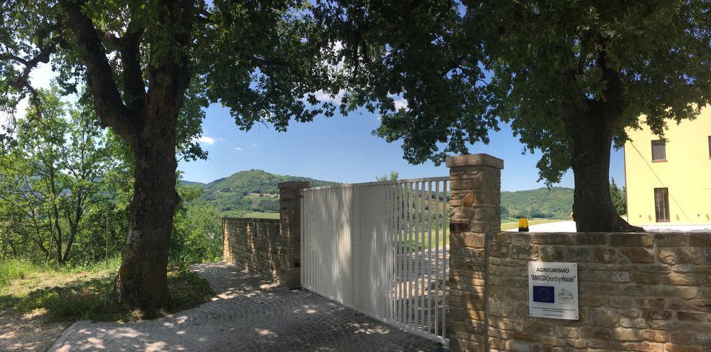 Amico Country House Serra San Quirico Ngoại thất bức ảnh